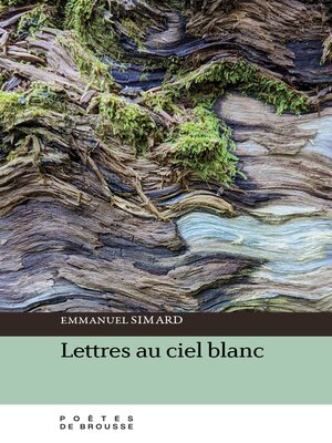 cover image of Lettres au ciel blanc